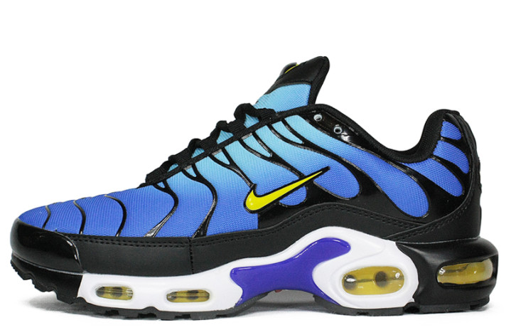 Кроссовки Nike Air Max TN Plus Hyper Blue BQ4629-003 синие